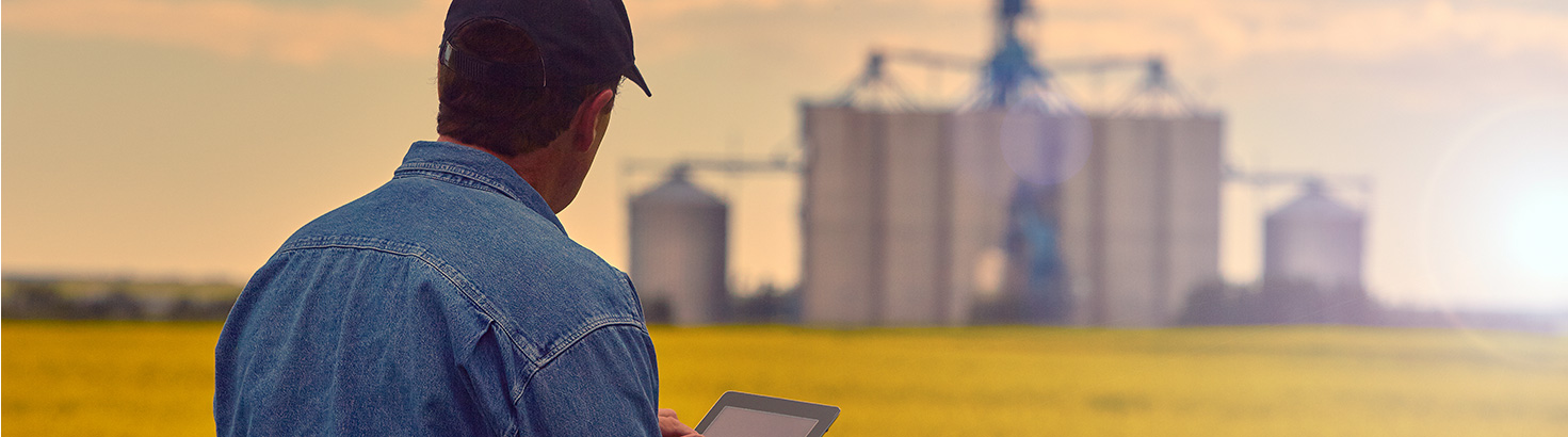 man standing in field looking at tablet